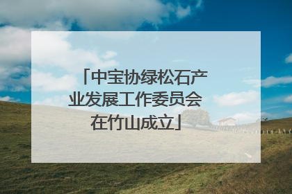 中宝协绿松石产业发展工作委员会在竹山成立