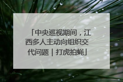 中央巡视期间，江西多人主动向组织交代问题｜打虎拍蝇