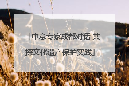 中意专家成都对话 共探文化遗产保护实践