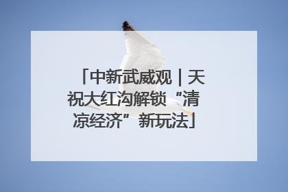 中新武威观｜天祝大红沟解锁“清凉经济”新玩法