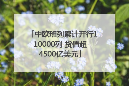 中欧班列累计开行110000列 货值超4500亿美元
