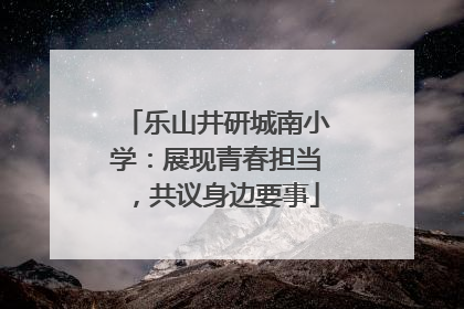 乐山井研城南小学：展现青春担当，共议身边要事