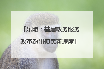 乐陵：基层政务服务改革跑出便民新速度