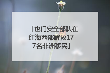 也门安全部队在红海西部解救177名非洲移民