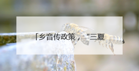 乡音传政策，“三夏”护平安！卫辉市“小板凳课堂”开新课啦
