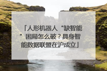 人形机器人“缺智能”困局怎么破？具身智能数据联盟在沪成立