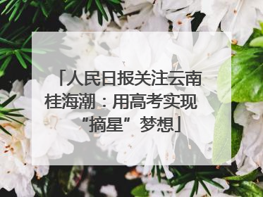 人民日报关注云南桂海潮：用高考实现“摘星”梦想