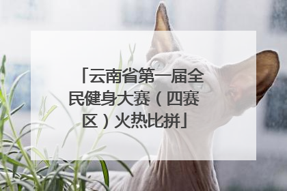 云南省第一届全民健身大赛（四赛区）火热比拼