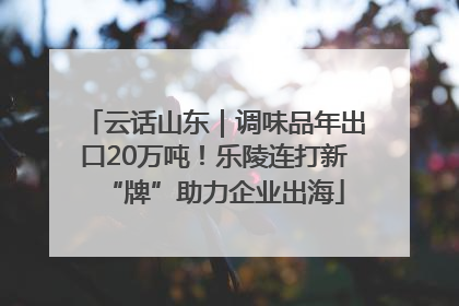 云话山东｜调味品年出口20万吨！乐陵连打新“牌”助力企业出海