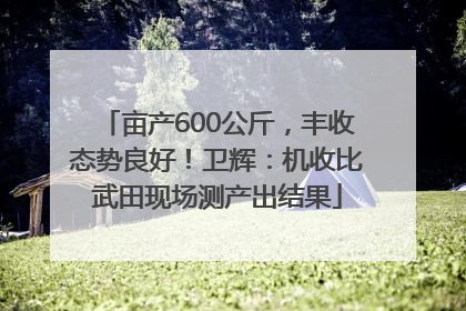 亩产600公斤，丰收态势良好！卫辉：机收比武田现场测产出结果