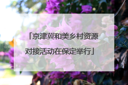 京津冀和美乡村资源对接活动在保定举行