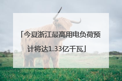 今夏浙江最高用电负荷预计将达1.33亿千瓦