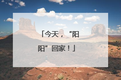 今天，“阳阳”回家！