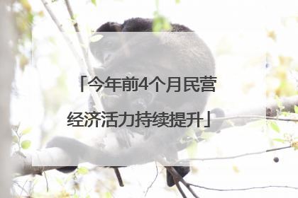 今年前4个月民营经济活力持续提升