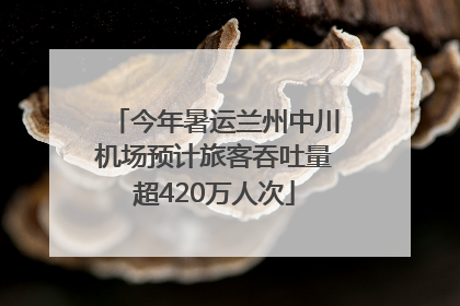 今年暑运兰州中川机场预计旅客吞吐量超420万人次