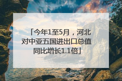今年1至5月，河北对中亚五国进出口总值同比增长1.1倍