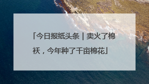 今日报纸头条｜卖火了棉袄，今年种了千亩棉花