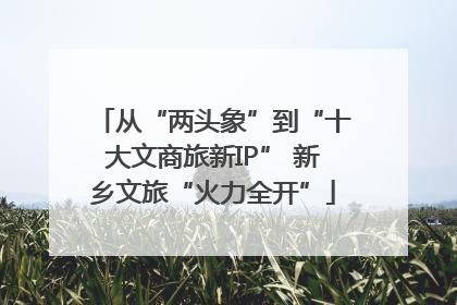 从“两头象”到“十大文商旅新IP” 新乡文旅“火力全开”