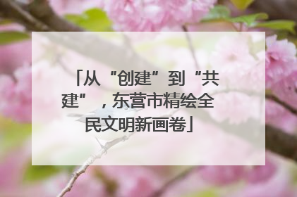 从“创建”到“共建”，东营市精绘全民文明新画卷