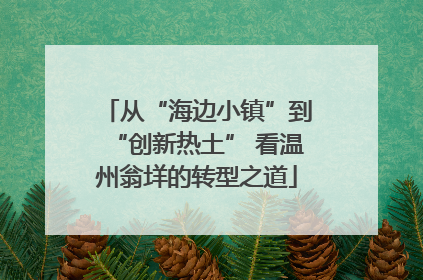从“海边小镇”到“创新热土” 看温州翁垟的转型之道
