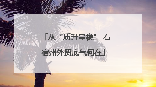 从“质升量稳” 看宿州外贸底气何在