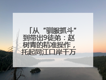 从“驯服抓斗”到带出9徒弟：赵树青的精准操作，托起同江口岸千万吨过货量