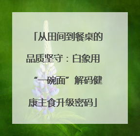 从田间到餐桌的品质坚守：白象用“一碗面”解码健康主食升级密码