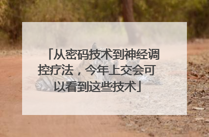 从密码技术到神经调控疗法，今年上交会可以看到这些技术
