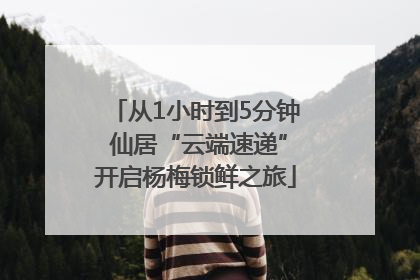 从1小时到5分钟 仙居“云端速递”开启杨梅锁鲜之旅