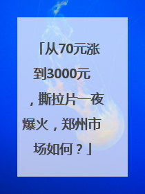 从70元涨到3000元，撕拉片一夜爆火，郑州市场如何？