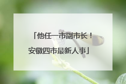 他任一市副市长！安徽四市最新人事