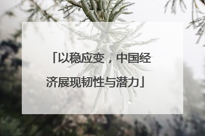 以稳应变，中国经济展现韧性与潜力