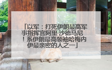 以军：打死伊朗最高军事指挥官阿里·沙德马尼！系伊朗最高领袖哈梅内伊最亲密的人之一