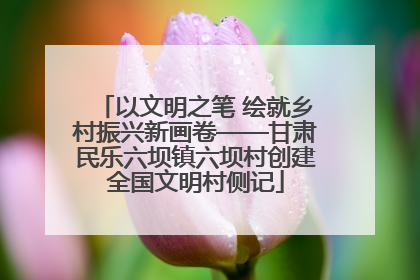 以文明之笔 绘就乡村振兴新画卷——甘肃民乐六坝镇六坝村创建全国文明村侧记
