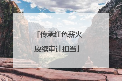 传承红色薪火 赓续审计担当