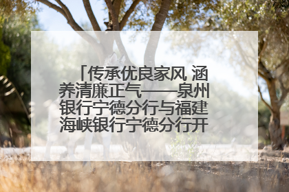 传承优良家风 涵养清廉正气——泉州银行宁德分行与福建海峡银行宁德分行开展主题党日活动