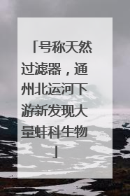 号称天然过滤器，通州北运河下游新发现大量蚌科生物