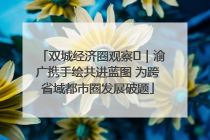 双城经济圈观察㊺｜渝广携手绘共进蓝图 为跨省域都市圈发展破题