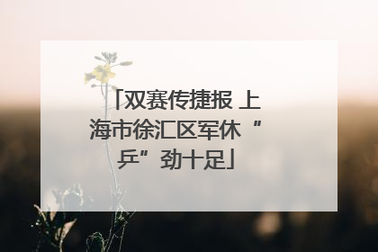 双赛传捷报 上海市徐汇区军休“乒”劲十足