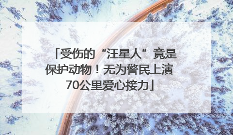 受伤的“汪星人”竟是保护动物！无为警民上演70公里爱心接力