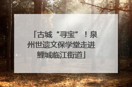 古城“寻宝”！泉州世遗文保学堂走进鲤城临江街道