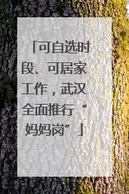 可自选时段、可居家工作，武汉全面推行“妈妈岗”