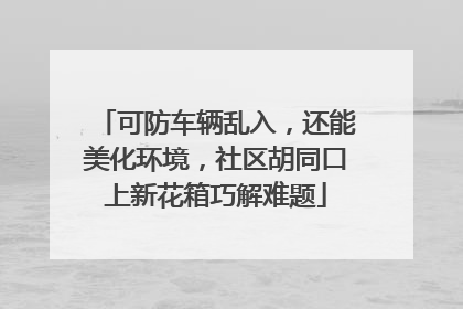 可防车辆乱入，还能美化环境，社区胡同口上新花箱巧解难题
