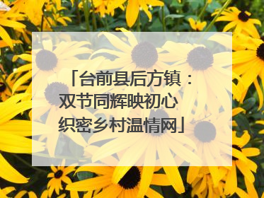 台前县后方镇：双节同辉映初心 织密乡村温情网