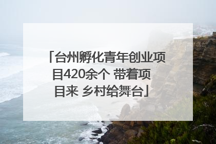 台州孵化青年创业项目420余个 带着项目来 乡村给舞台