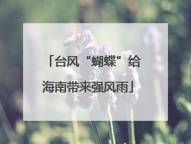 台风“蝴蝶”给海南带来强风雨