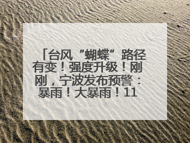 台风“蝴蝶”路径有变！强度升级！刚刚，宁波发布预警：暴雨！大暴雨！11级大风！