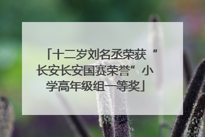 十二岁刘名丞荣获“长安长安国赛荣誉”小学高年级组一等奖