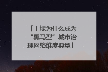 十堰为什么成为“黑马型”城市治理网络维度典型