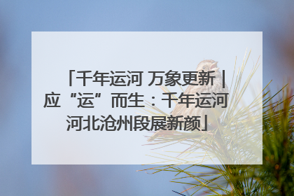 千年运河 万象更新｜应“运”而生：千年运河河北沧州段展新颜